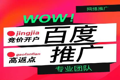 知名SEM代运营公司案例解析